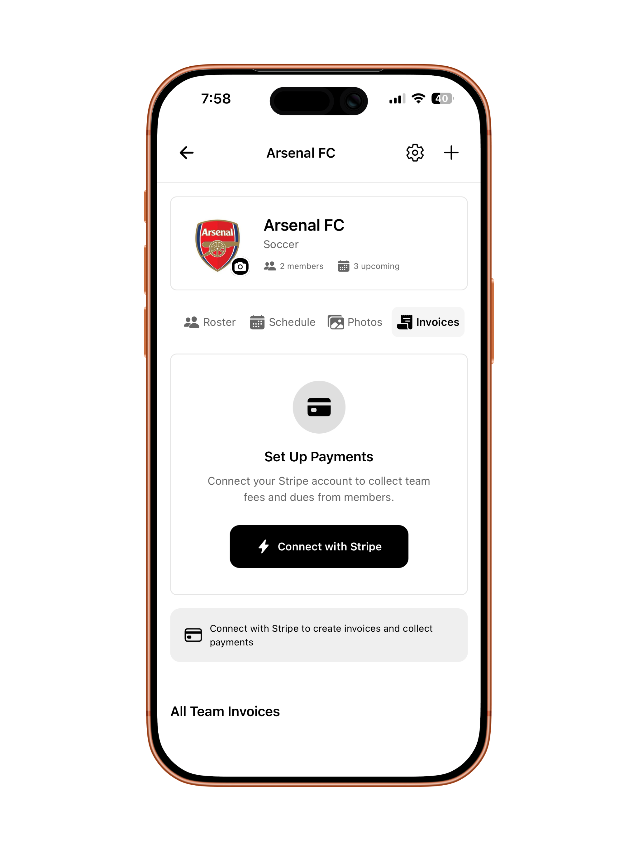 Team invoices view with Stripe payments and roster tabs